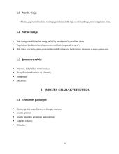 Greito maisto restorano „Burger“ verslo planas 6 puslapis