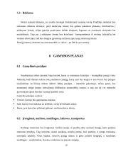 Greito maisto restorano „Burger“ verslo planas 10 puslapis