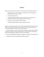 Mankšta ir vaikas 4 puslapis