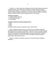 Kompozitai 10 puslapis