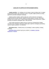 Kompozitai 13 puslapis