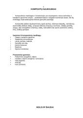 Kompozitai 8 puslapis