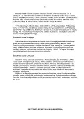 Kompozitai 9 puslapis