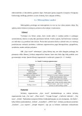 Kelionių organizatoriaus "Ajax travel" marketingo planas 2015 metams 6 puslapis