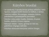 Marija Pečkauskaitė – Šatrijos Ragana 14 puslapis