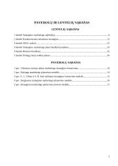 UAB „BITĖ Lietuva” strateginis marketingo planas 2 puslapis