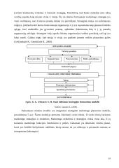 UAB „BITĖ Lietuva” strateginis marketingo planas 14 puslapis
