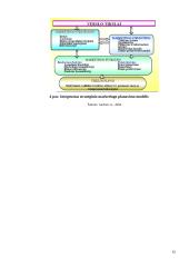 UAB „BITĖ Lietuva” strateginis marketingo planas 15 puslapis