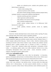 UAB „BITĖ Lietuva” strateginis marketingo planas 18 puslapis