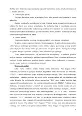 UAB „BITĖ Lietuva” strateginis marketingo planas 20 puslapis