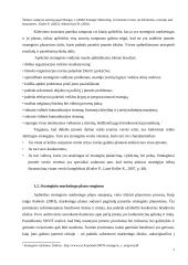 UAB „BITĖ Lietuva” strateginis marketingo planas 7 puslapis