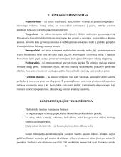 Filmuojančių kontaktinių lęšių marketingo komplekso analizė 6 puslapis