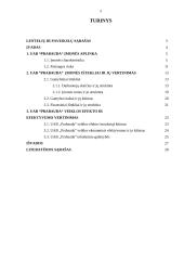 UAB ,,Prabauda“ veiklos ekonominis vertinimas 2 puslapis