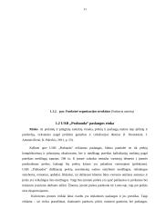UAB ,,Prabauda“ veiklos ekonominis vertinimas 11 puslapis