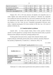 UAB ,,Prabauda“ veiklos ekonominis vertinimas 20 puslapis