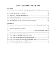 UAB ,,Prabauda“ veiklos ekonominis vertinimas 3 puslapis