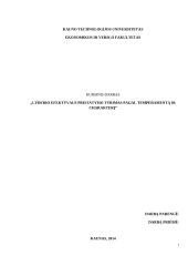 Lyderio efektyvaus pristatymo tyrimas pagal temperamentą ir charakterį