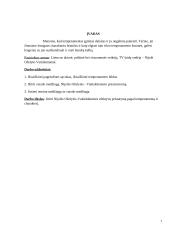 Lyderio efektyvaus pristatymo tyrimas pagal temperamentą ir charakterį 2 puslapis