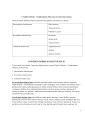 Lyderio efektyvaus pristatymo tyrimas pagal temperamentą ir charakterį 6 puslapis