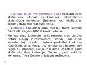 Skalūnų gavyba Lietuvoje 2 puslapis