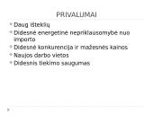 Skalūnų gavyba Lietuvoje 4 puslapis