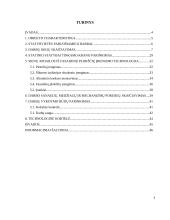 Individualus dviejų aukštų gyvenamasis namas su garažu 2 puslapis