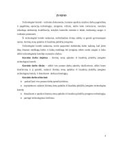 Individualus dviejų aukštų gyvenamasis namas su garažu 3 puslapis