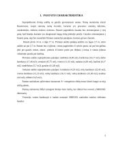 Individualus dviejų aukštų gyvenamasis namas su garažu 4 puslapis