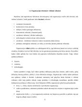Organizacija. Vadybos projektinis darbas 11 puslapis