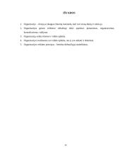 Organizacija. Vadybos projektinis darbas 14 puslapis