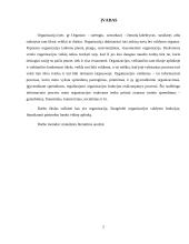 Organizacija. Vadybos projektinis darbas 3 puslapis