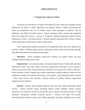 Organizacija. Vadybos projektinis darbas 4 puslapis