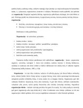 Organizacija. Vadybos projektinis darbas 6 puslapis