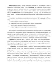 Organizacija. Vadybos projektinis darbas 7 puslapis