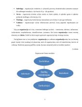 Organizacija. Vadybos projektinis darbas 9 puslapis