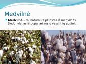 Medvilnė skaidrės 2 puslapis