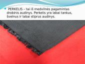 Medvilnė skaidrės 11 puslapis