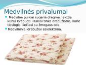 Medvilnė skaidrės 12 puslapis