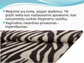 Medvilnė skaidrės 13 puslapis