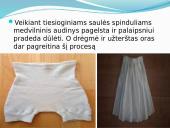 Medvilnė skaidrės 15 puslapis