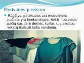 Medvilnė skaidrės 16 puslapis