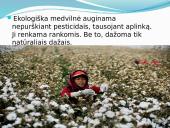 Medvilnė skaidrės 3 puslapis