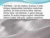 Medvilnė skaidrės 8 puslapis