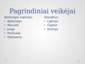 Atsiskaitymas už savarankiškai perskaitytą knygą 3 puslapis