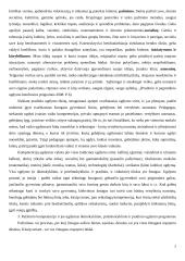 Pažinimo ir socialinė kompetencija 2 puslapis