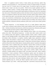 Pažinimo ir socialinė kompetencija 3 puslapis