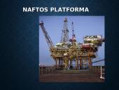 Skaidrės apie naftą 12 puslapis