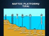 Skaidrės apie naftą 14 puslapis