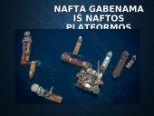 Skaidrės apie naftą 15 puslapis