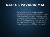 Skaidrės apie naftą 17 puslapis